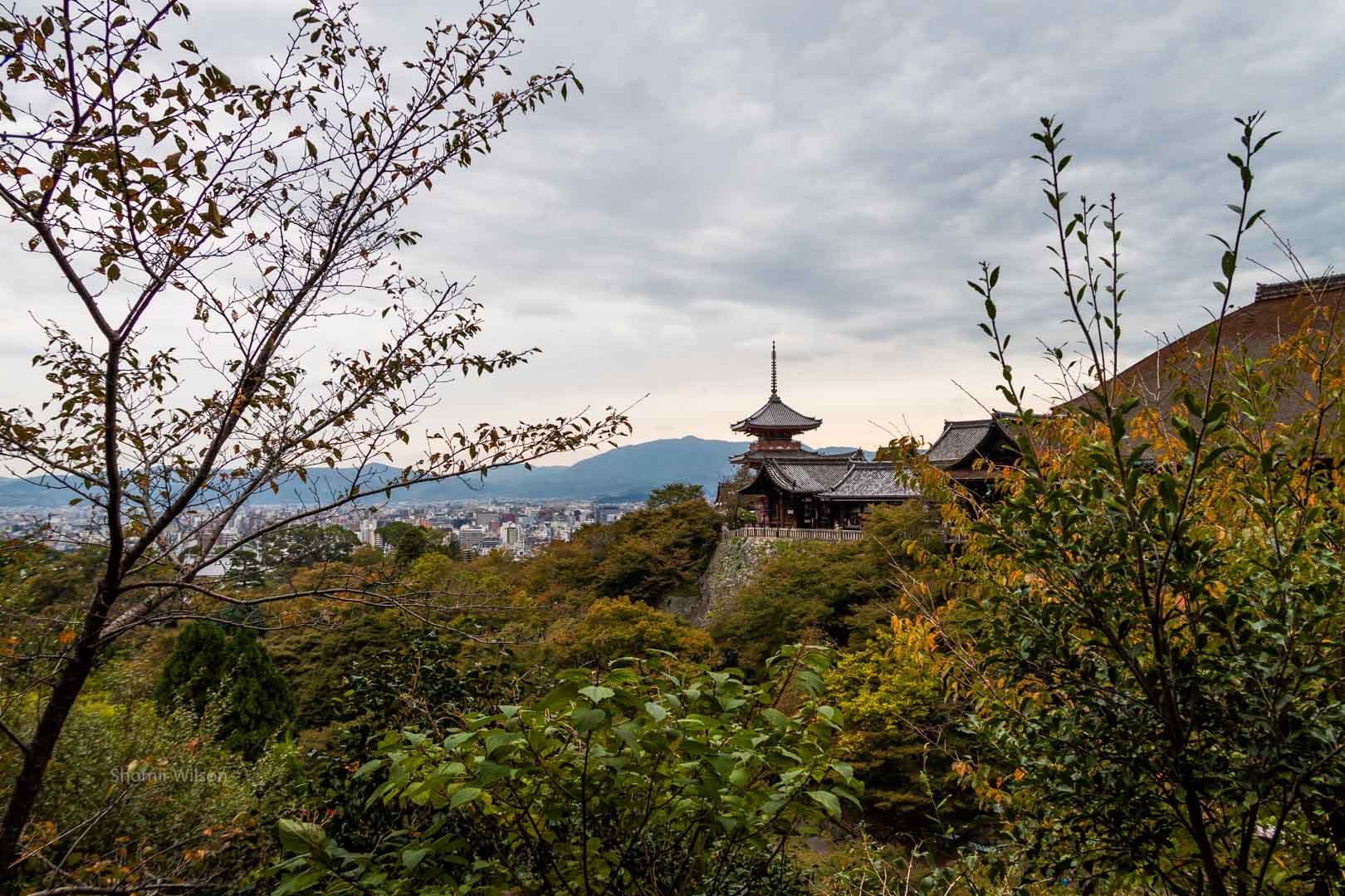 Buddhist temple on a hill from a nearby perspective with the view surrounded by bushes and trees; a city below and mountains in the distance