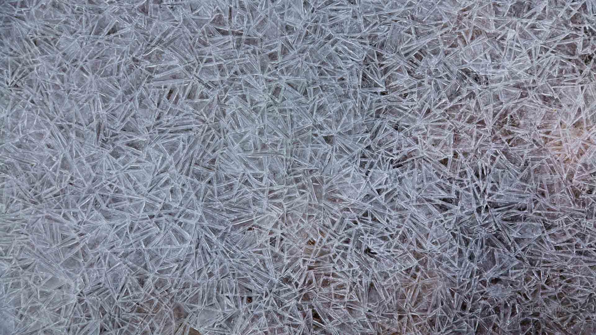 geometric pattern in a sheet of ice