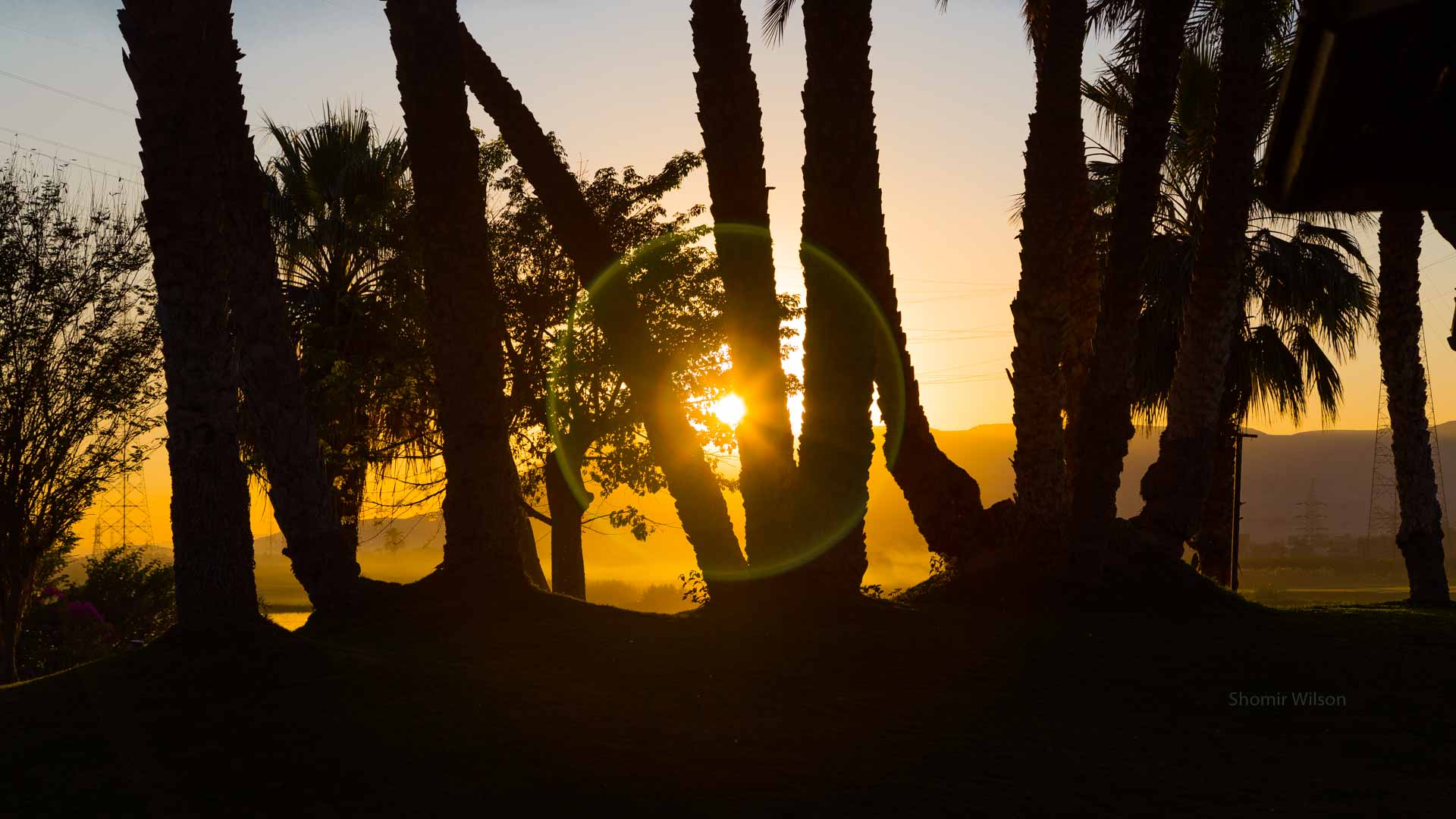 tree silhouettes against a sunset above a river, with circular lens flare around the sun