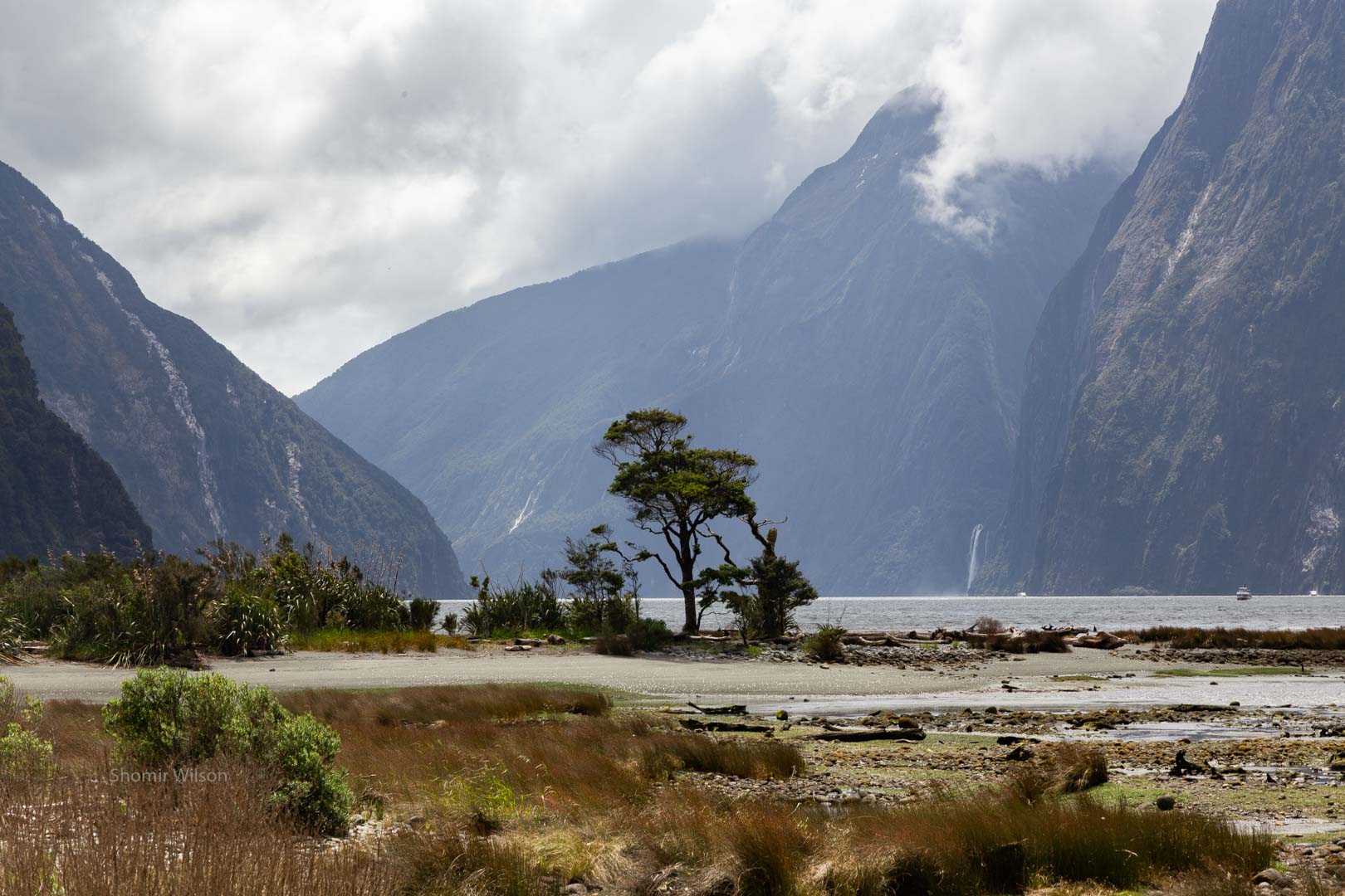 tree on a small peninsula surrounded by water, with fjords and waterfalls in the distance 