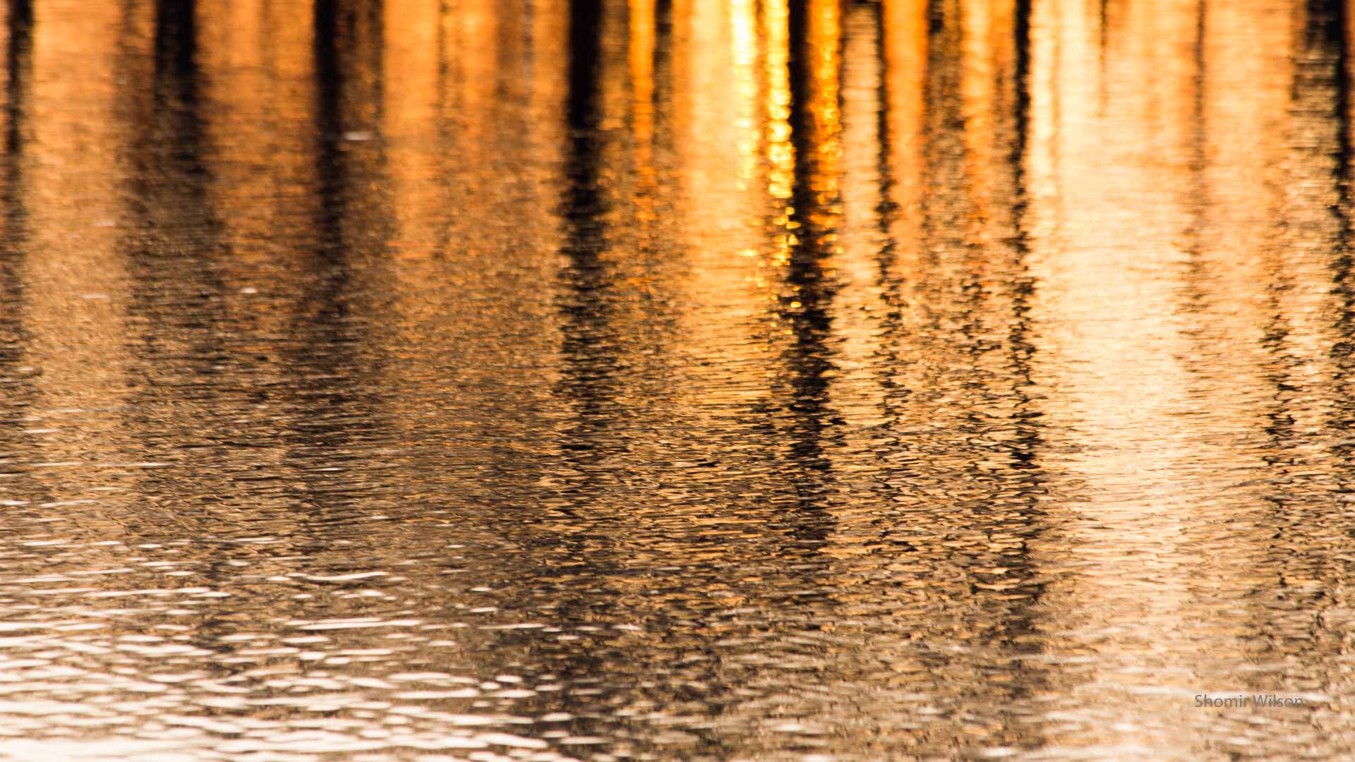 water reflections of the sunset and trees