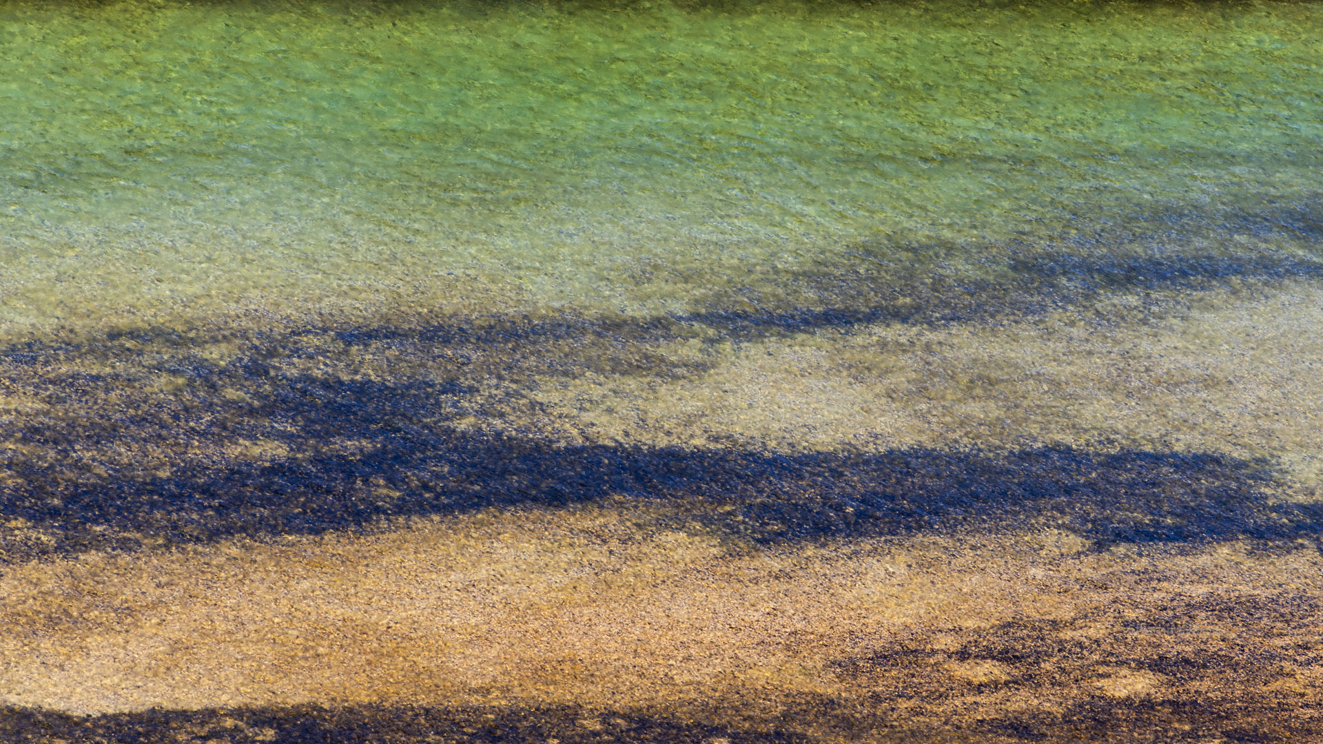 green, brown, and gray shimmering colors