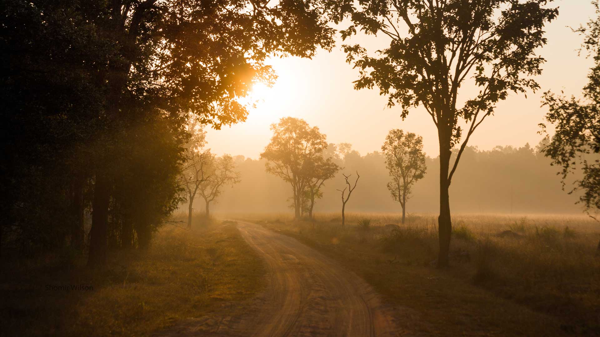 bright orange sky with silhouettes of trees and a dirt road