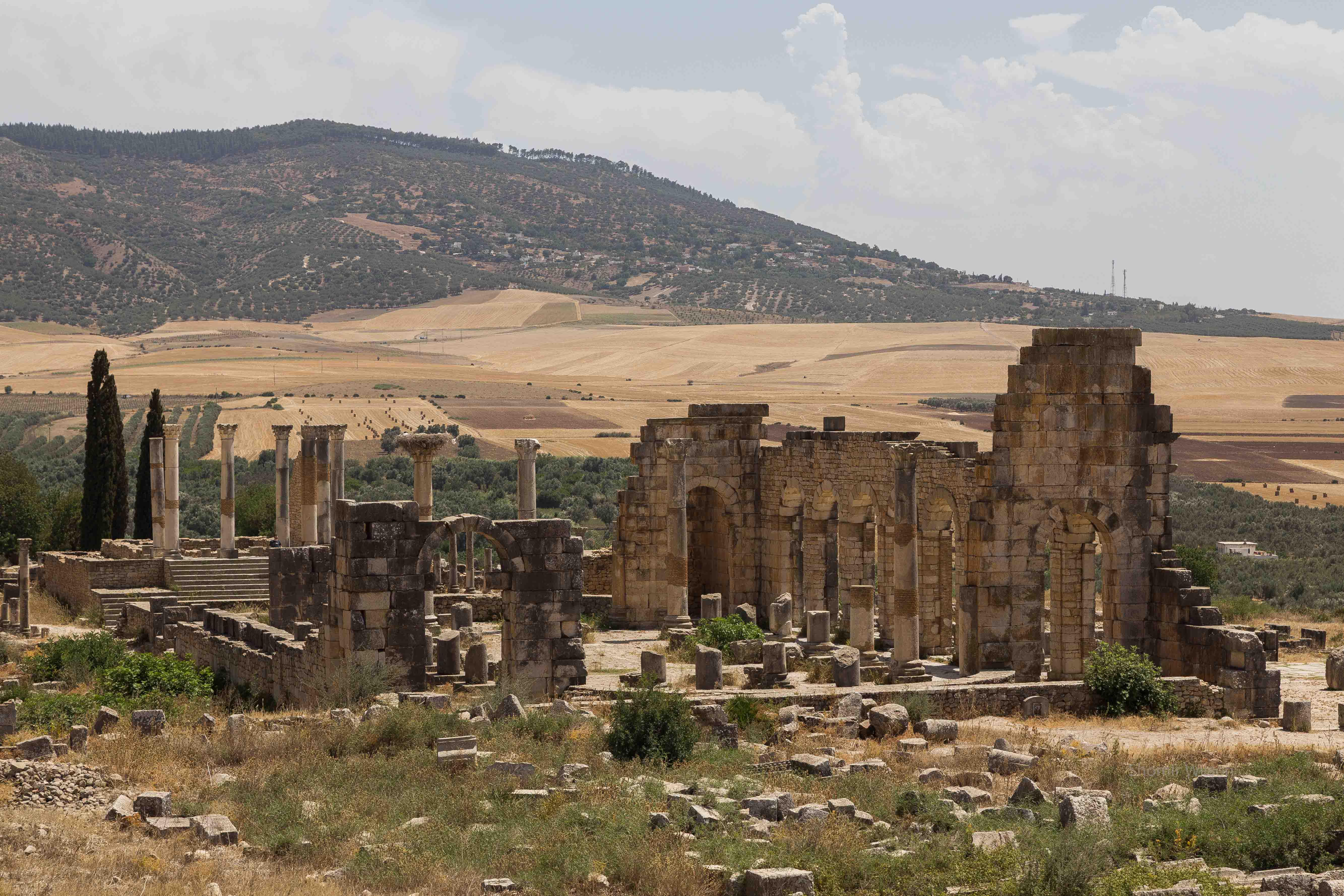 Roman ruins on a hill with yellow fields and a mountain beyond