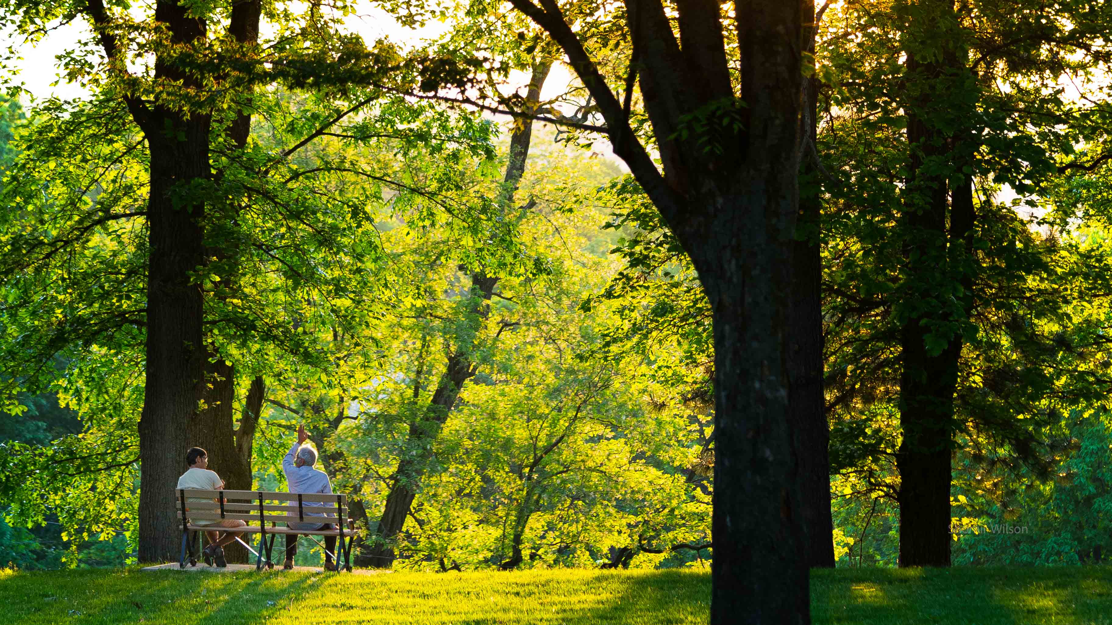 Leafy trees, hillside, people on a bench
