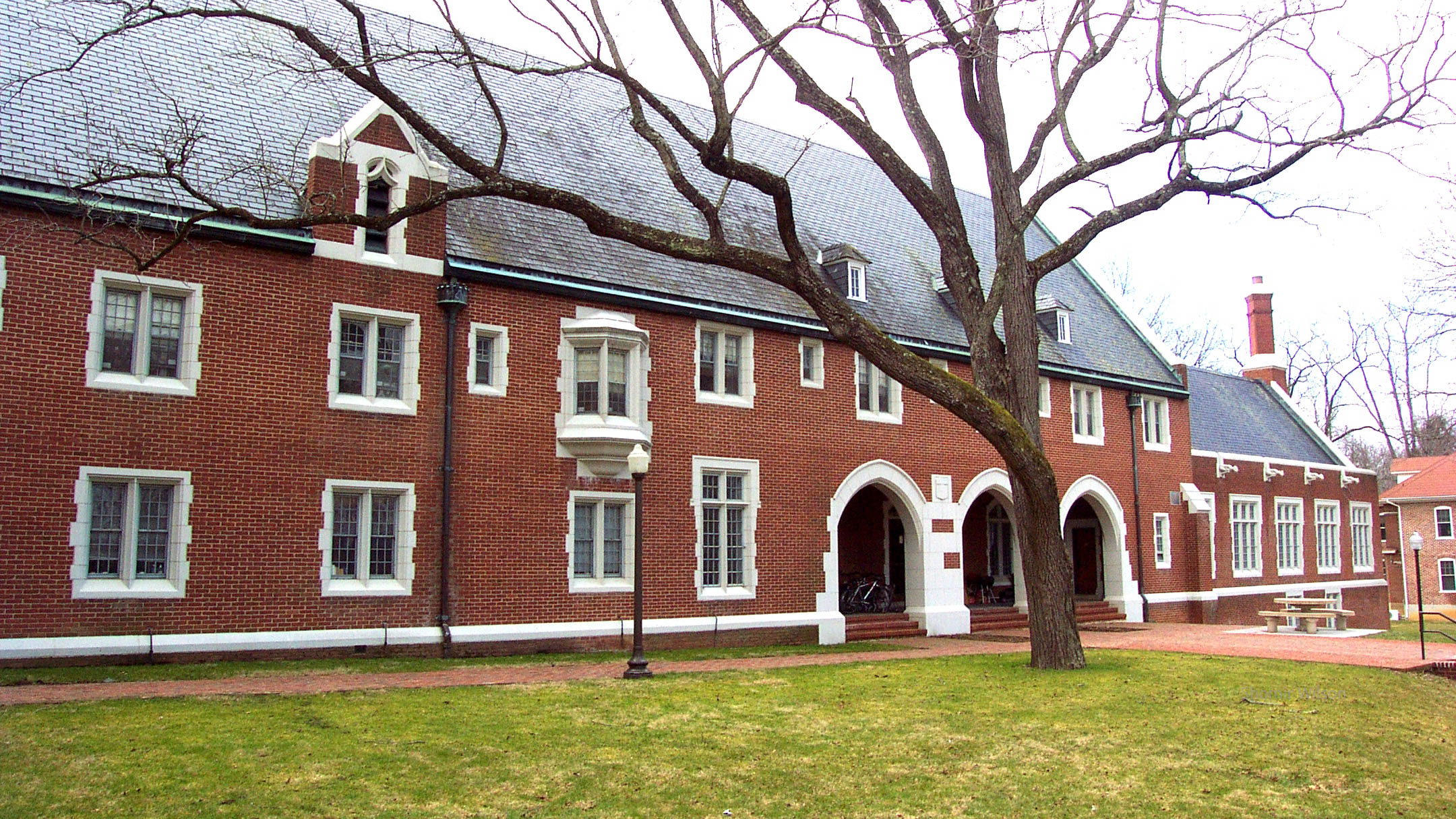 A brick college dorm with a tree in front