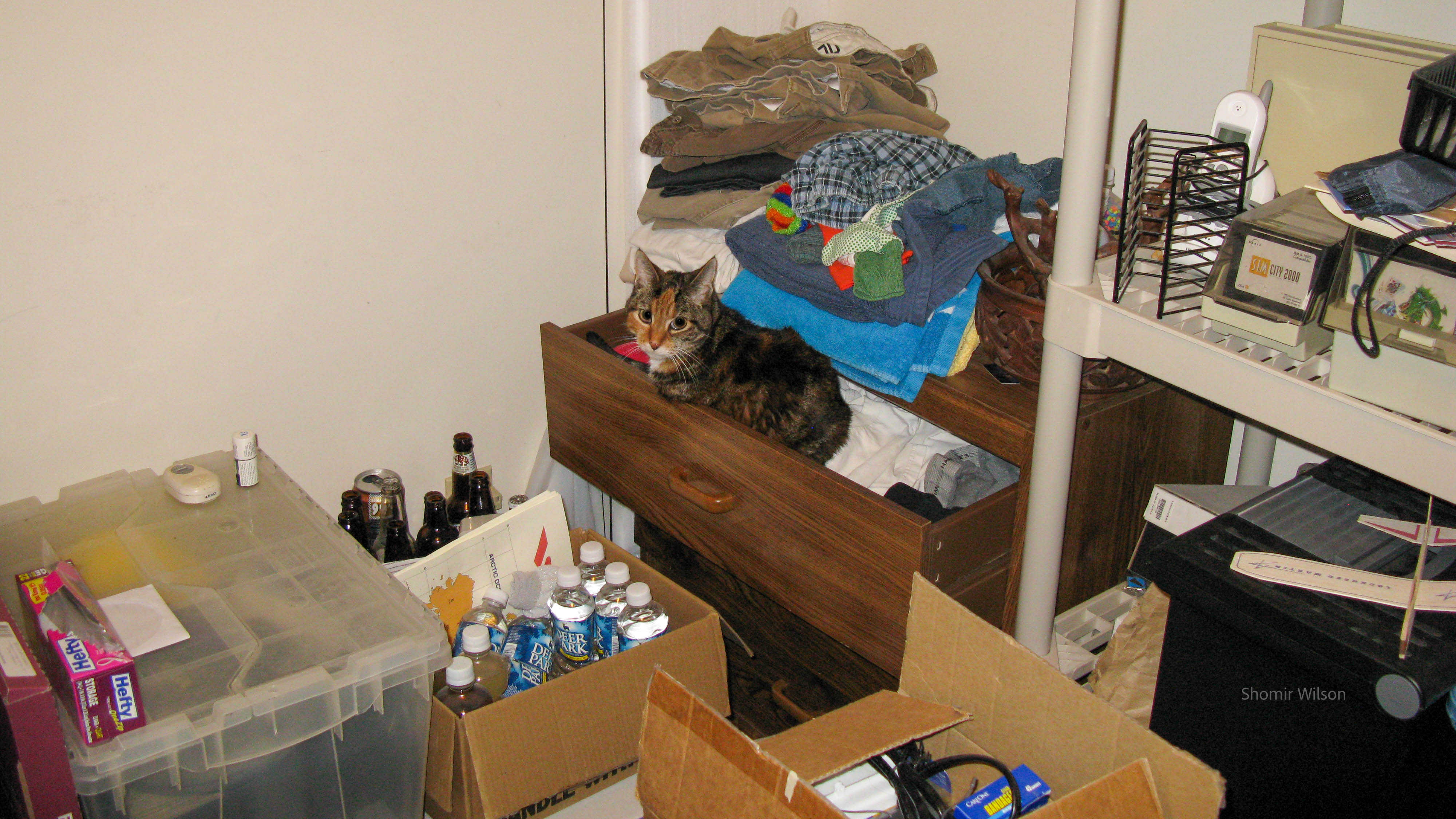 Cat in a dresser drawer in a cluttered room