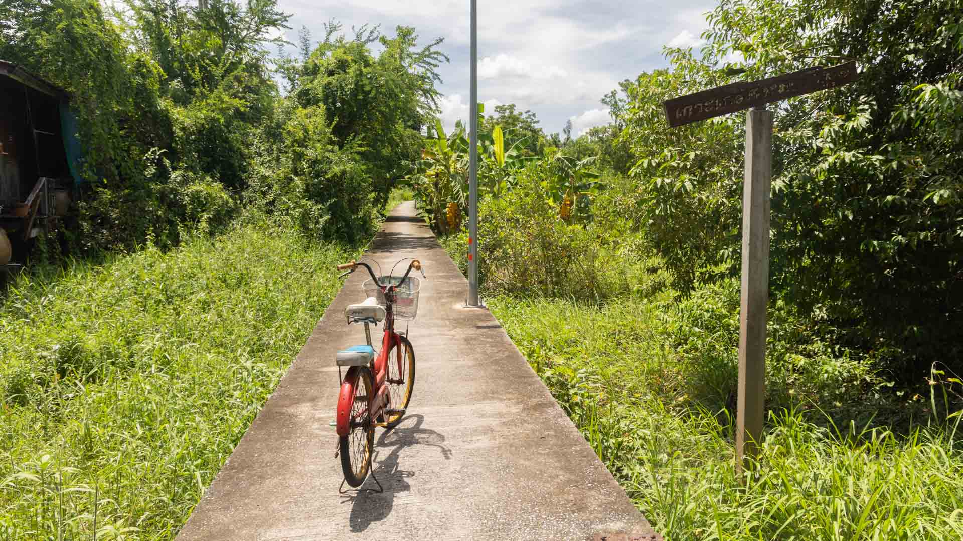 elevated bicycle path through lush forest